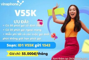 goi-v55k-vinaphone-mien-phi-goi-noi-ngoai-mang-chi-55k-thang