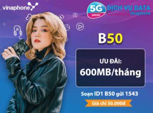 b50-vinaphone-combo-uu-dai-cho-khach-hang