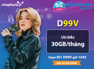 d99v-vinaphone-goi-dien-luot-web-tha-ga