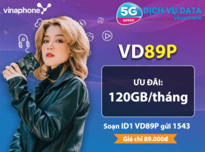 vd89p-vinaphone-data-thoai-tha-ga