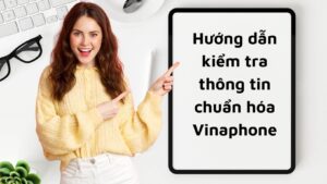Huong dan kiem tra thong tin chuan hoa Vinaphone 1